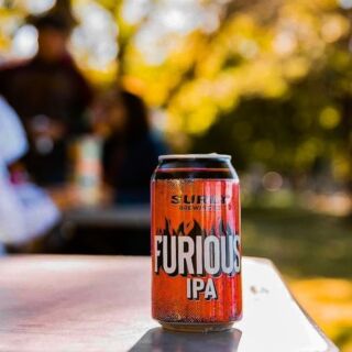 Furious: a beer for all seasons, even when you have, like, 13 of them instead of the usual four.