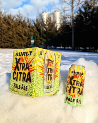 Take Five Sour Mixed Berry - Surly Brewing Co.